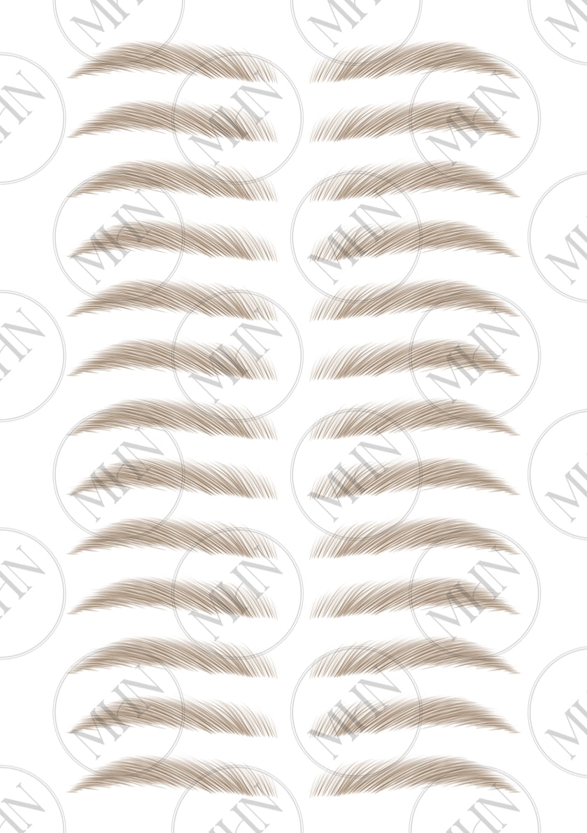 MyBrows 10