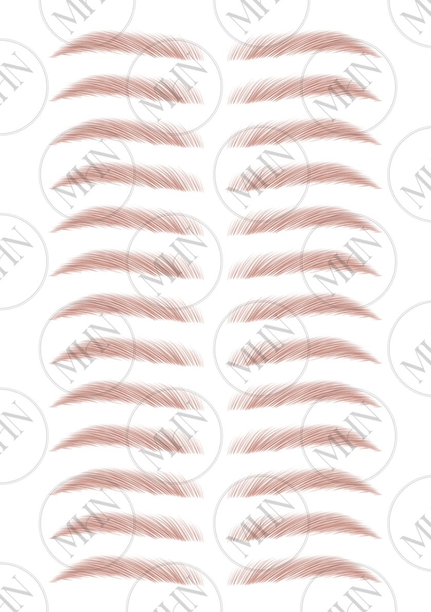 MyBrows 10