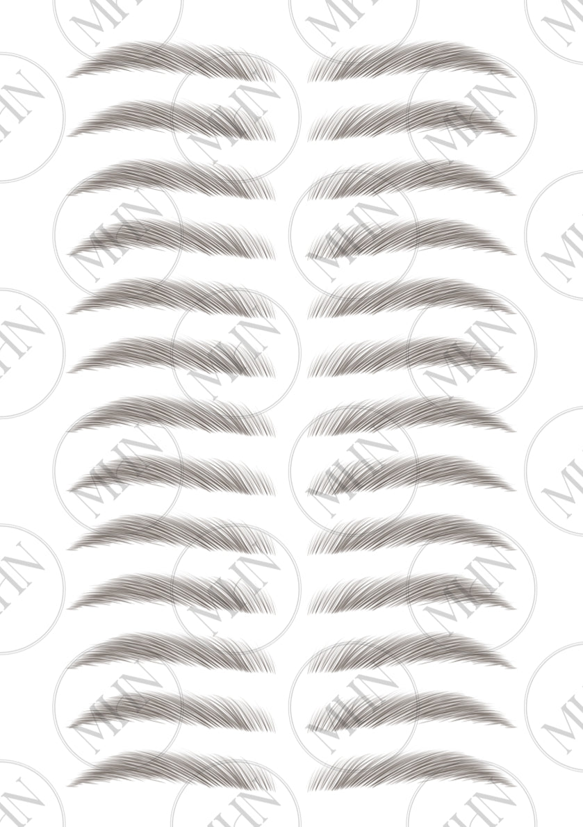 MyBrows 10
