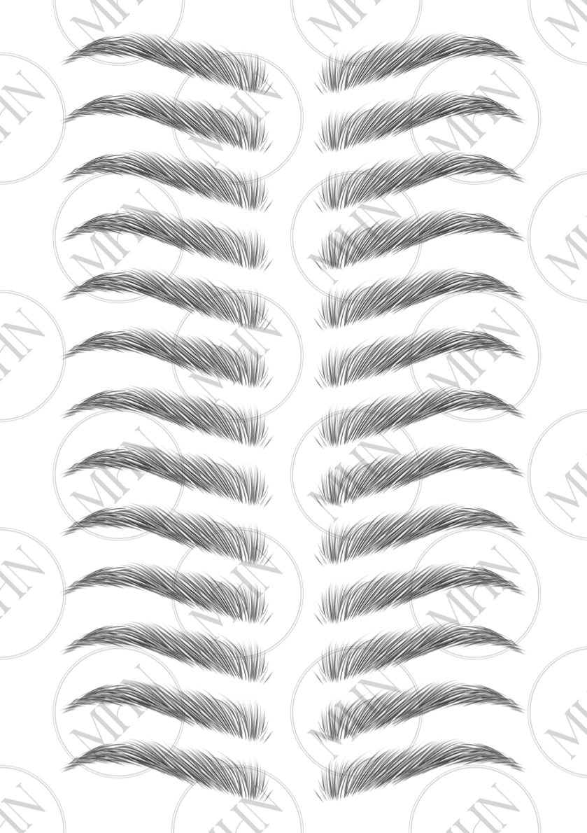 MyBrows 11