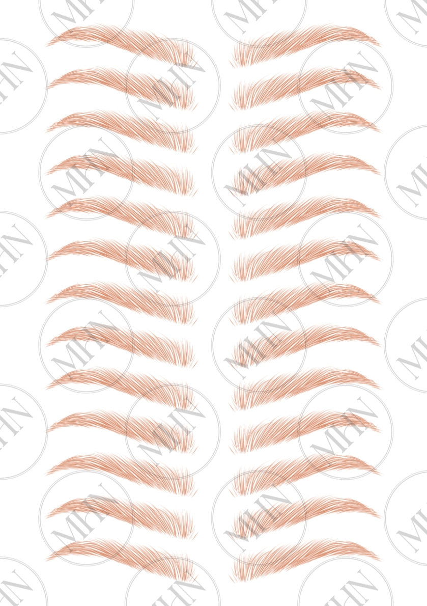 MyBrows 11