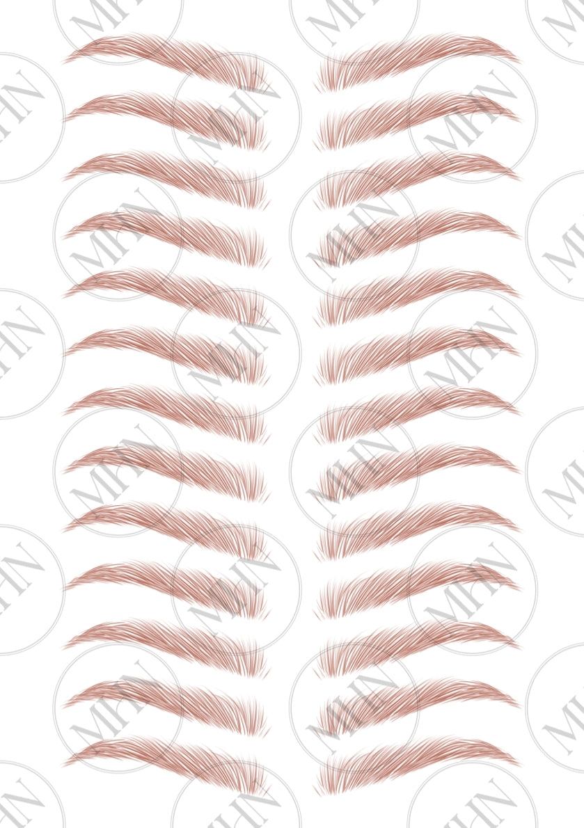 MyBrows 11