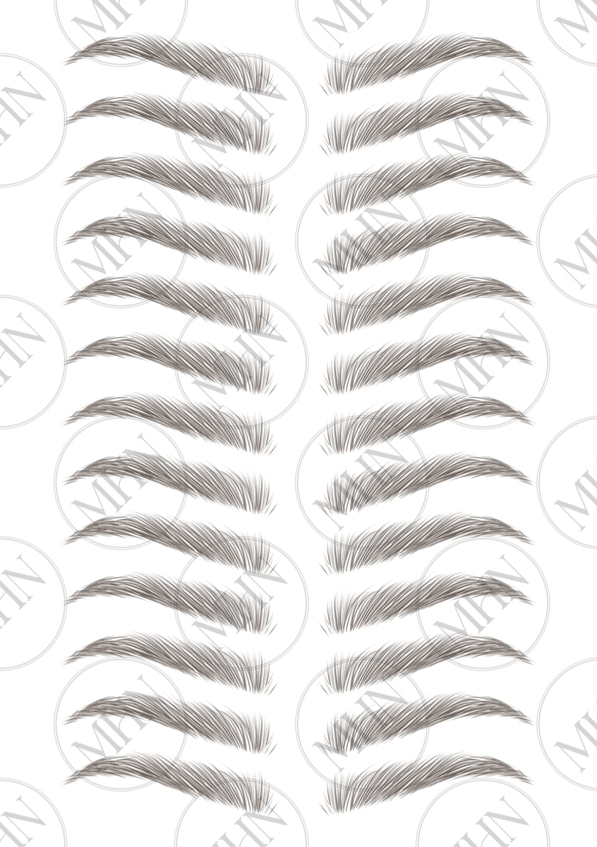 MyBrows 11