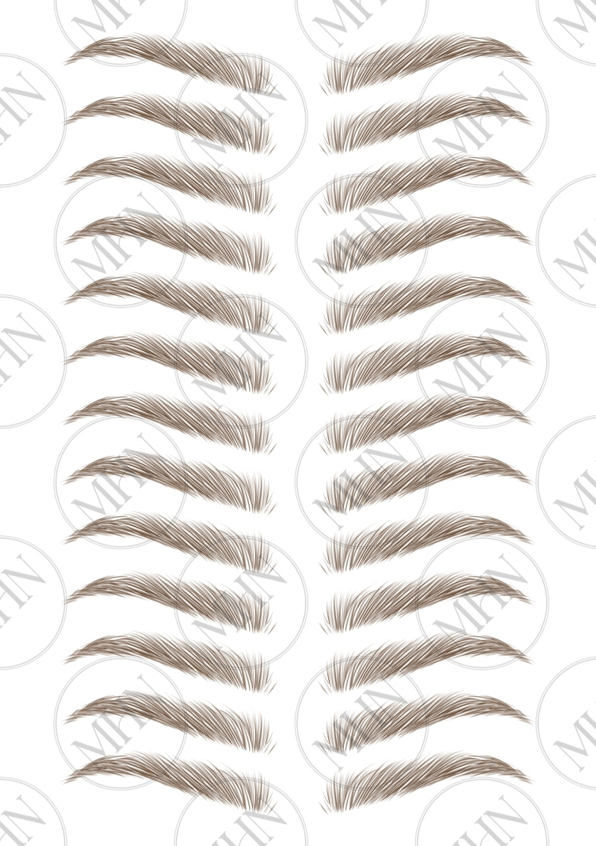 MyBrows 11