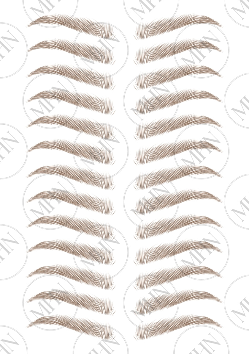 MyBrows 11