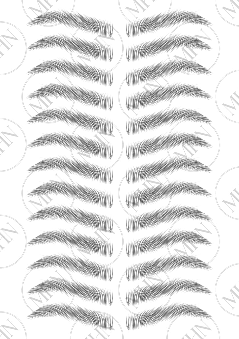 MyBrows 13