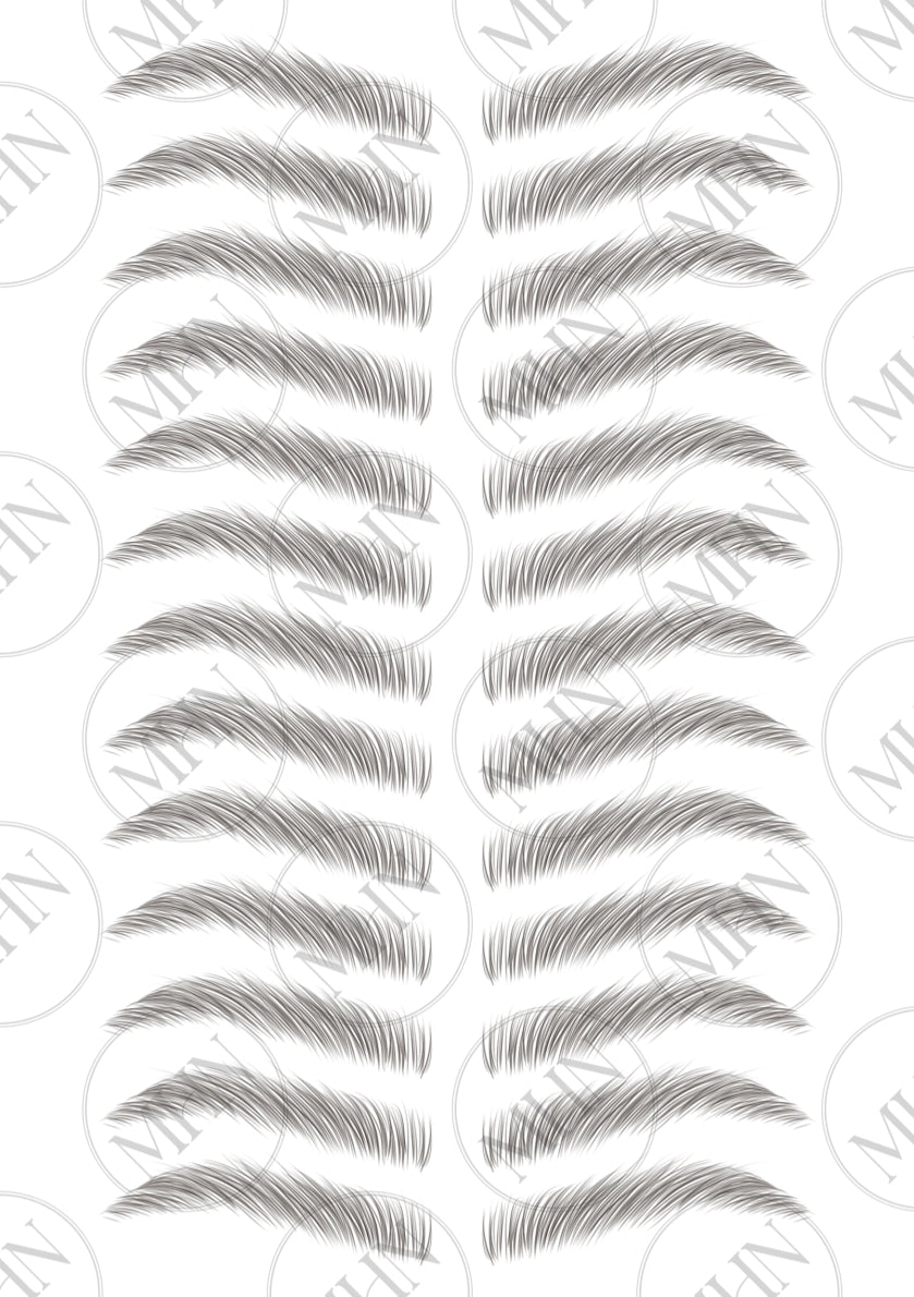 MyBrows 13