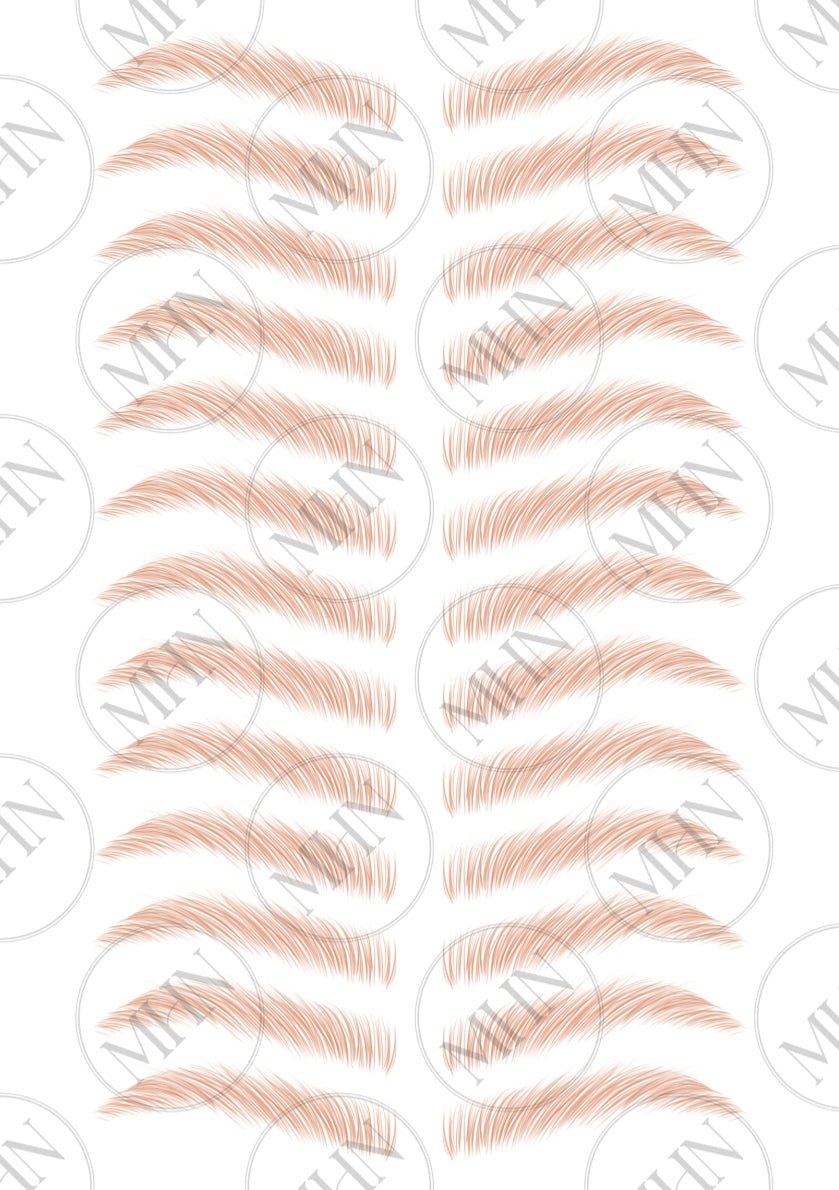 MyBrows 13