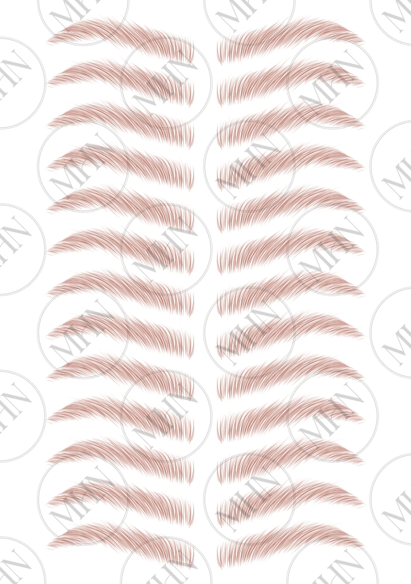 MyBrows 13