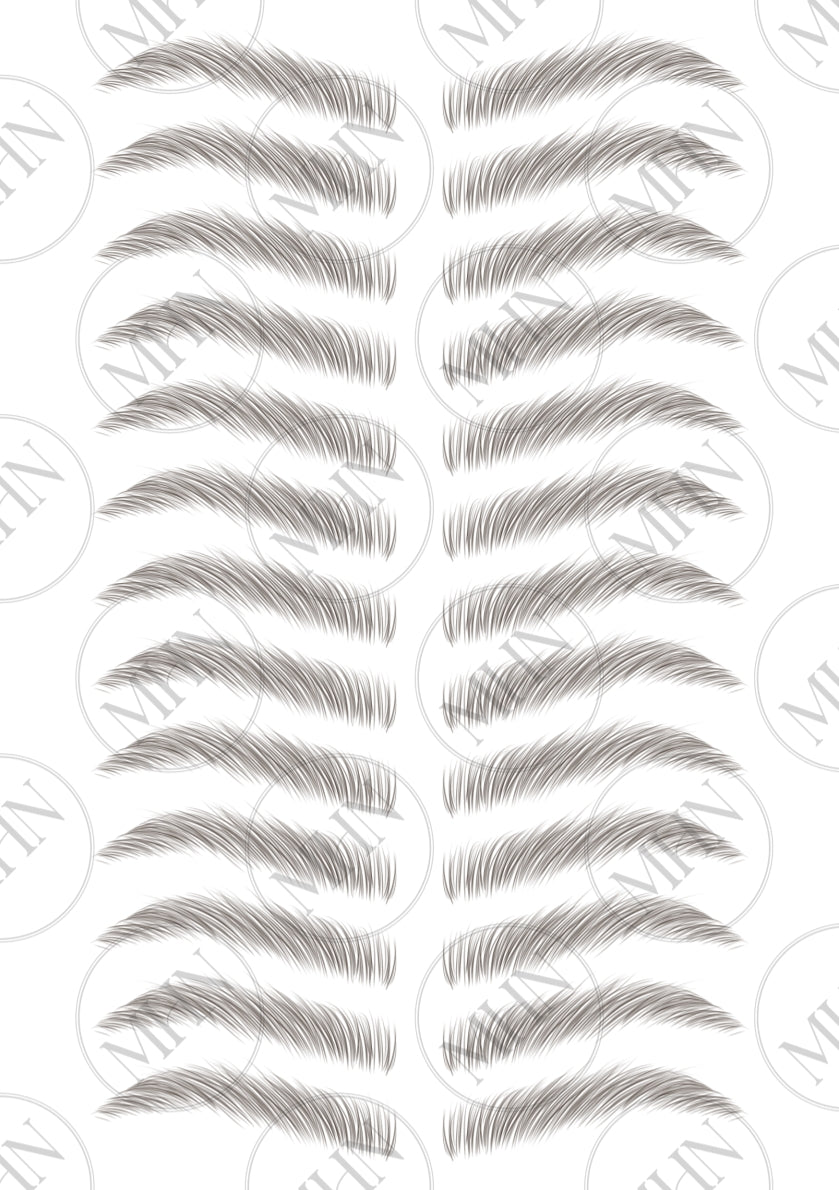 MyBrows 13