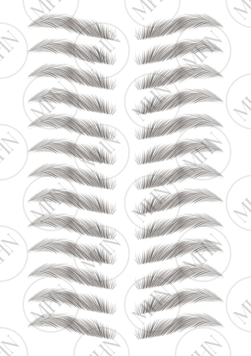 MyBrows 15