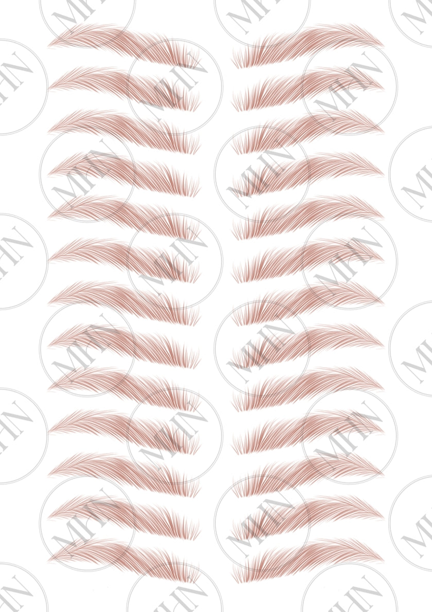 MyBrows 15