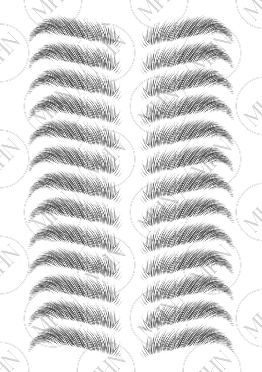 MyBrows 2