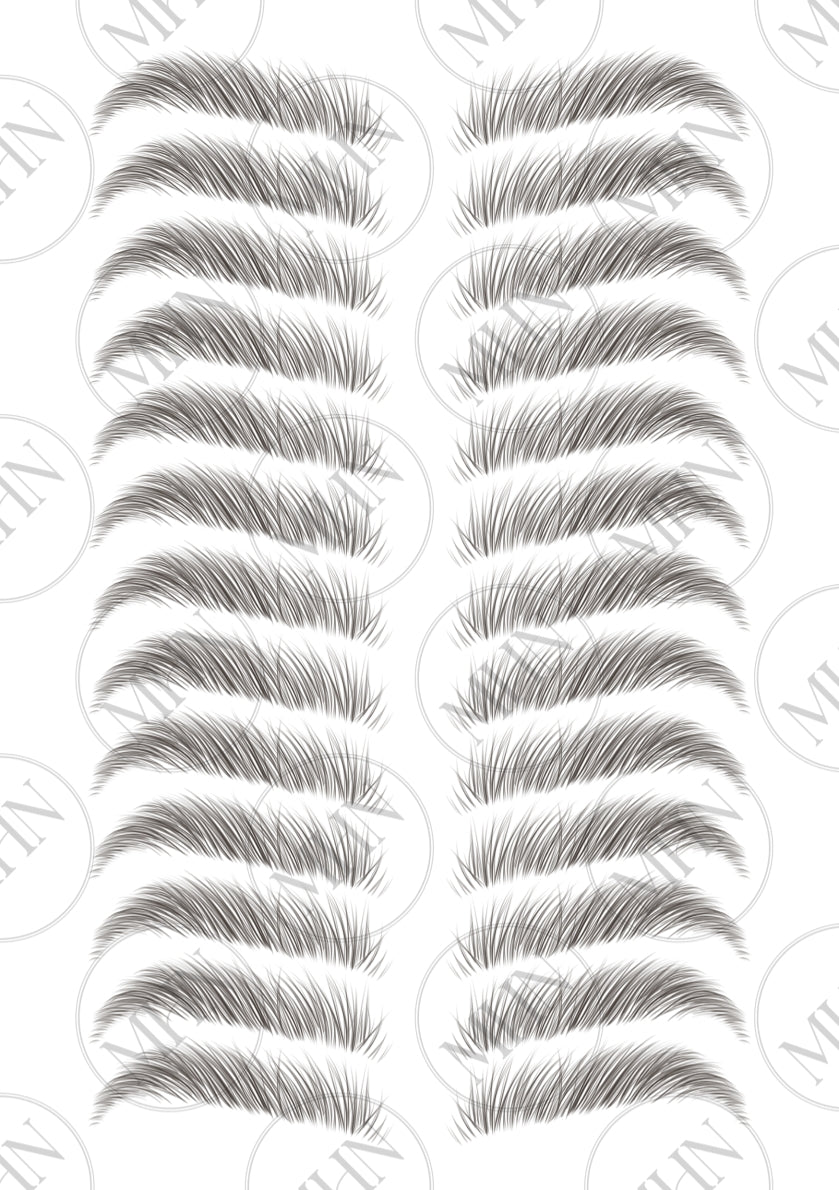 MyBrows 2