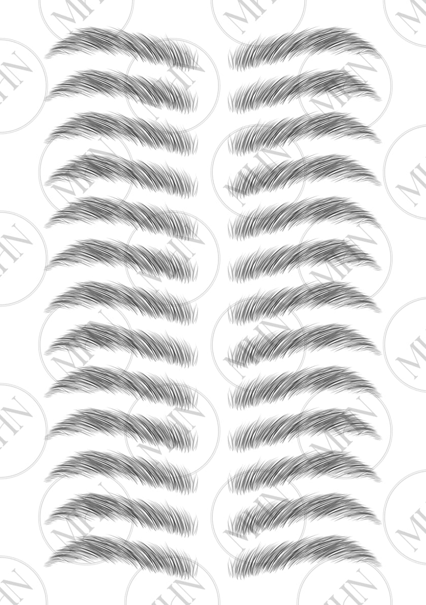 MyBrows 6