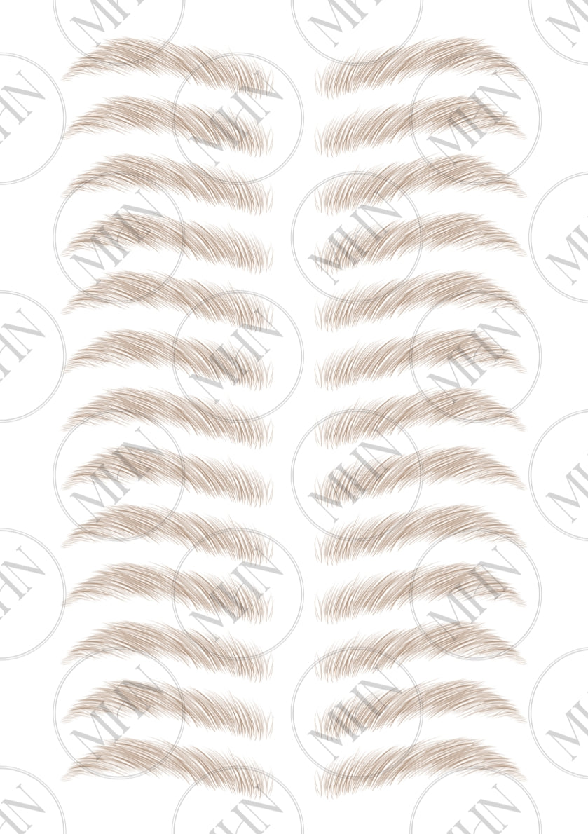 MyBrows 6
