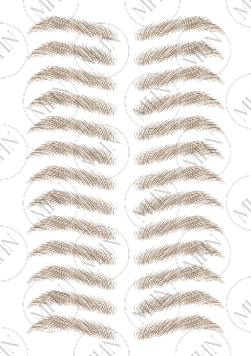 MyBrows 6
