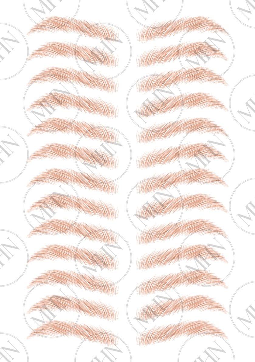 MyBrows 6