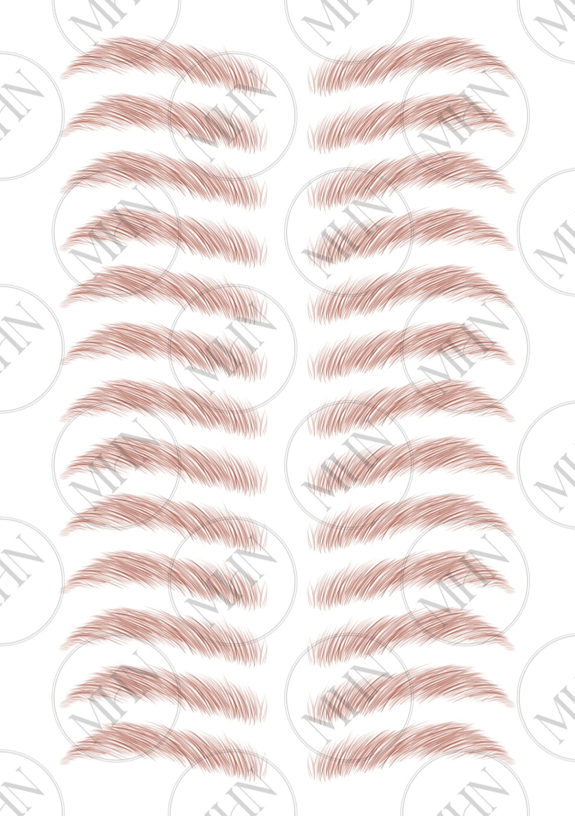 MyBrows 6