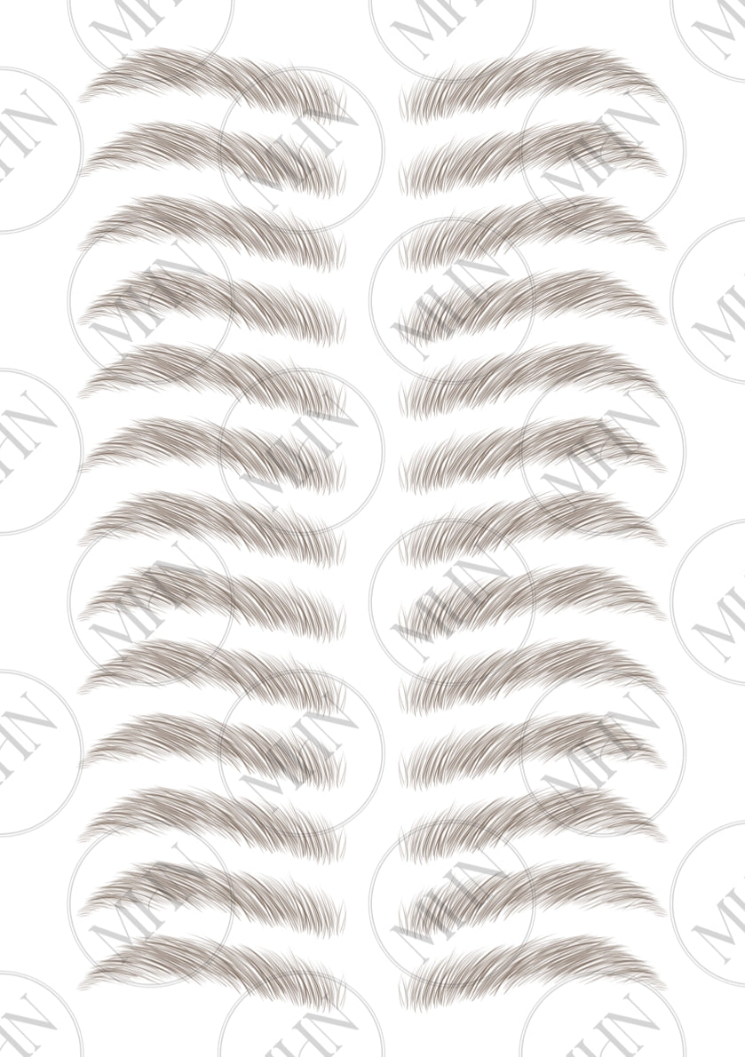 MyBrows 6