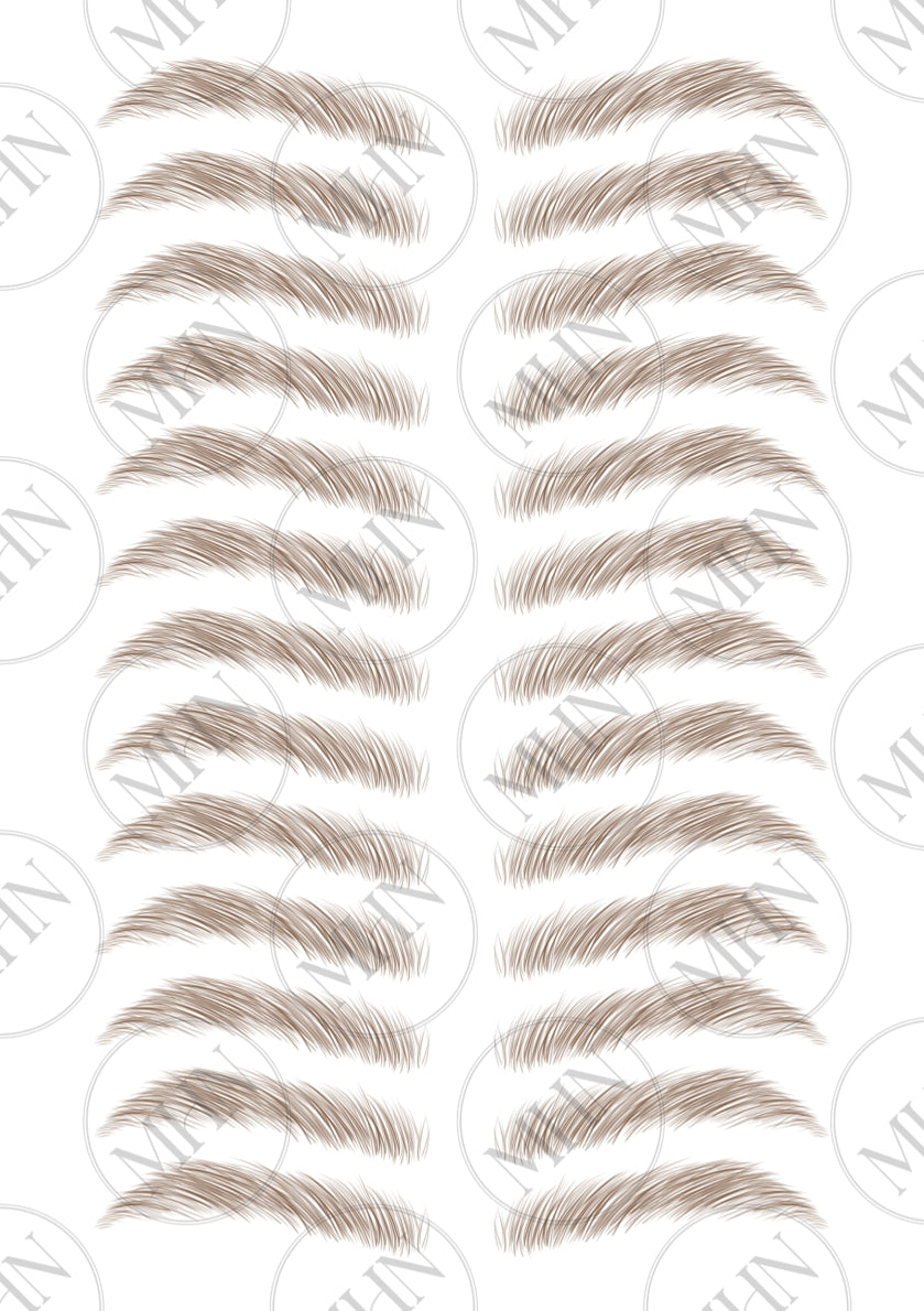 MyBrows 6