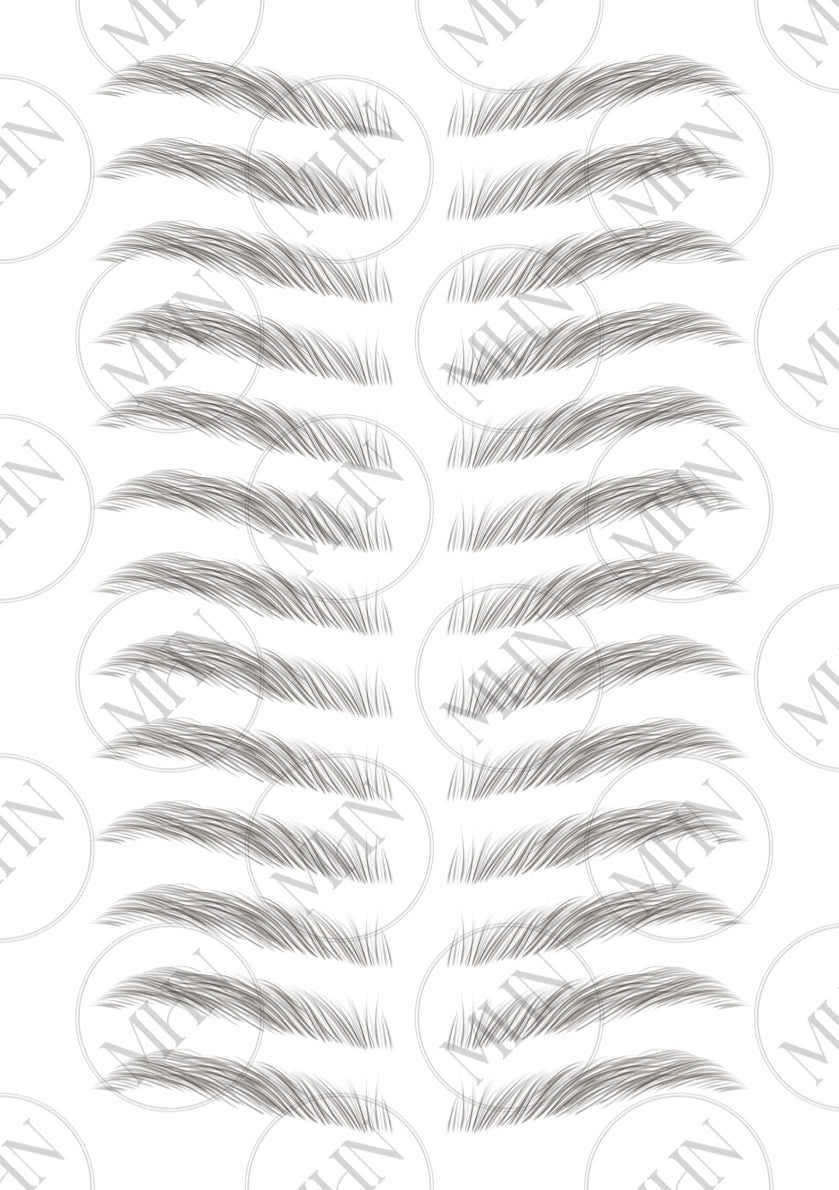 MyBrows 7