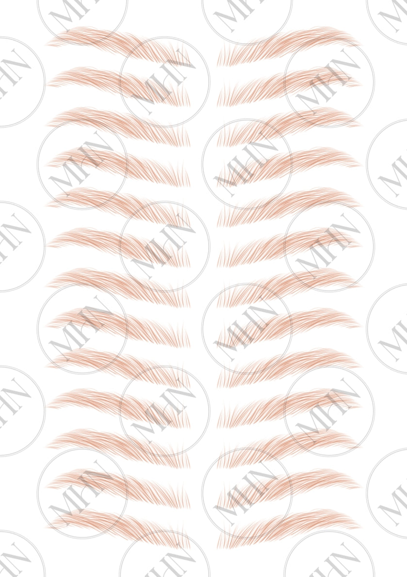 MyBrows 7