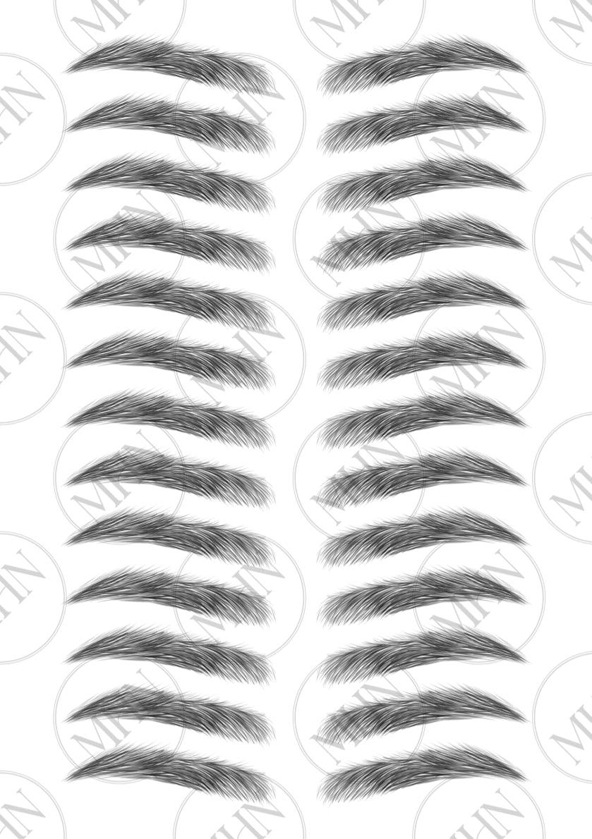 MyBrows 8