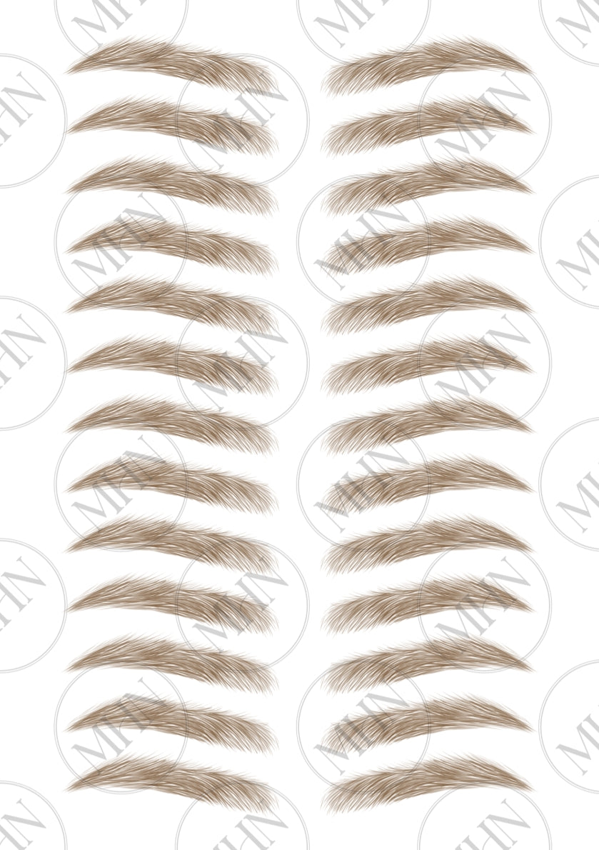 MyBrows 8