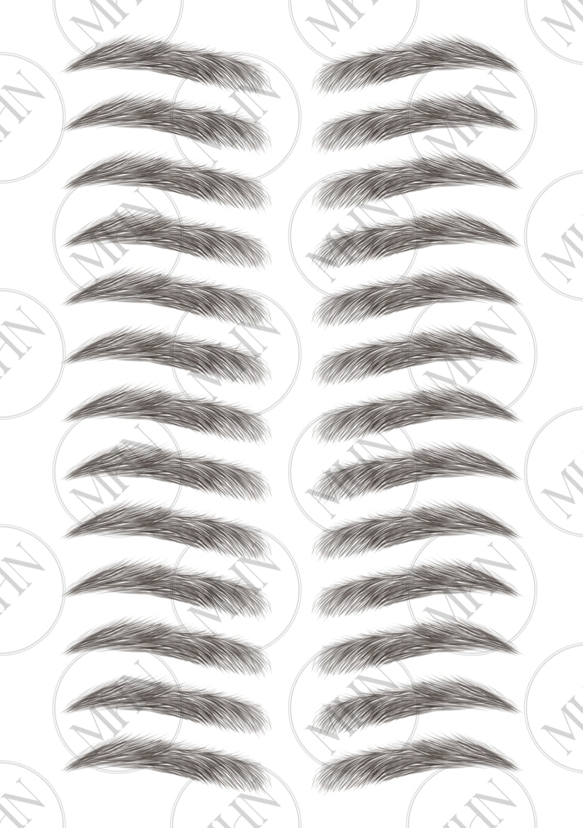 MyBrows 8