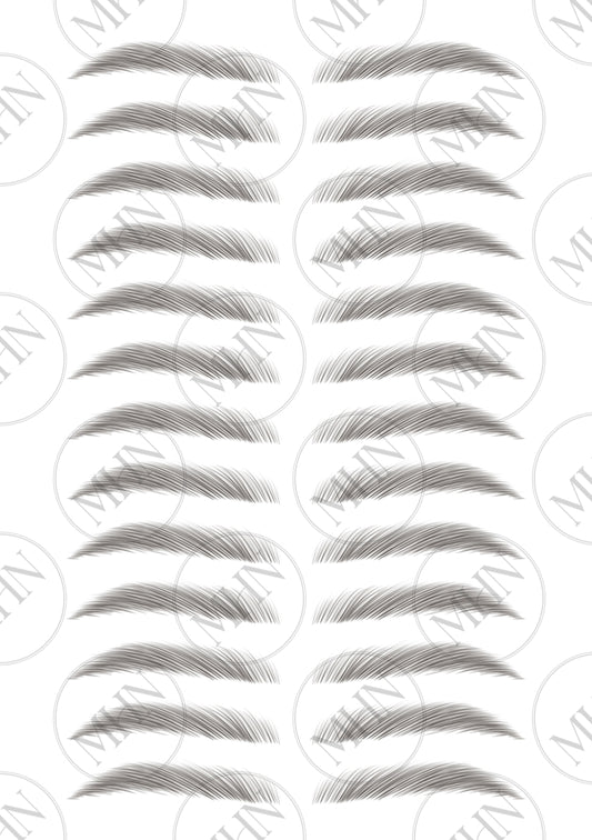 MyBrows 10