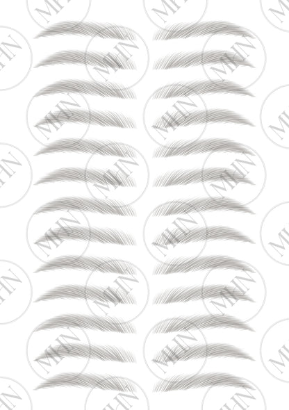 MyBrows 10