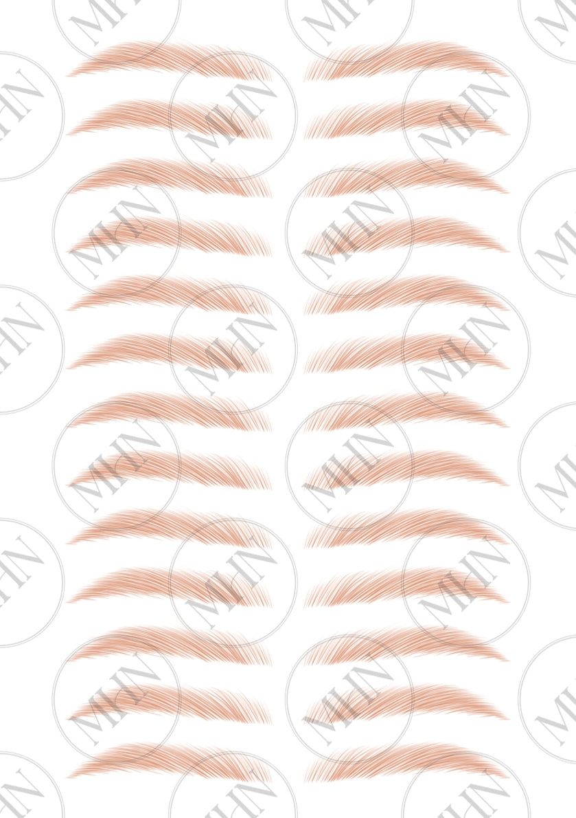 MyBrows 10