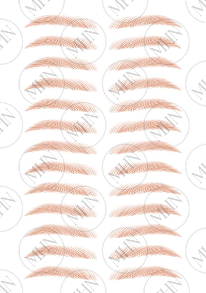 MyBrows 10
