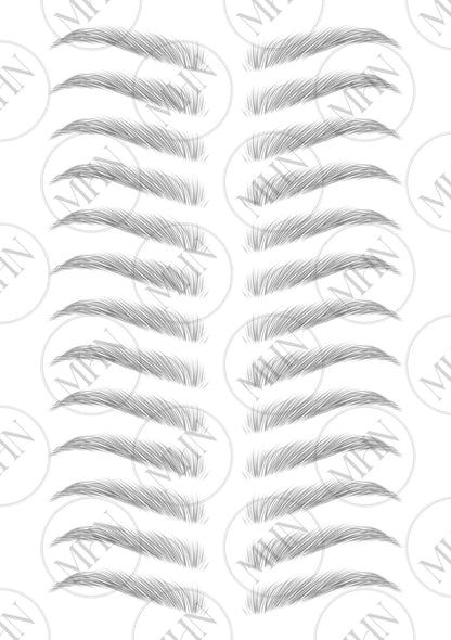 MyBrows 11 Delicate