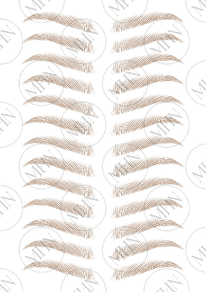 MyBrows 11