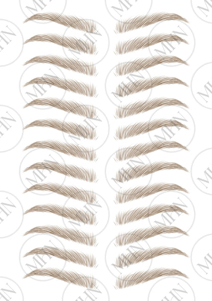 MyBrows 11