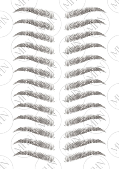 MyBrows 11