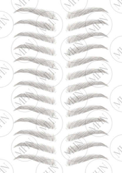 MyBrows 11