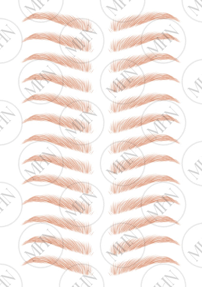 MyBrows 11