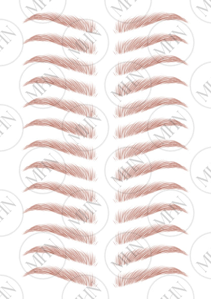 MyBrows 11