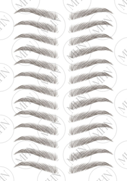 MyBrows 11