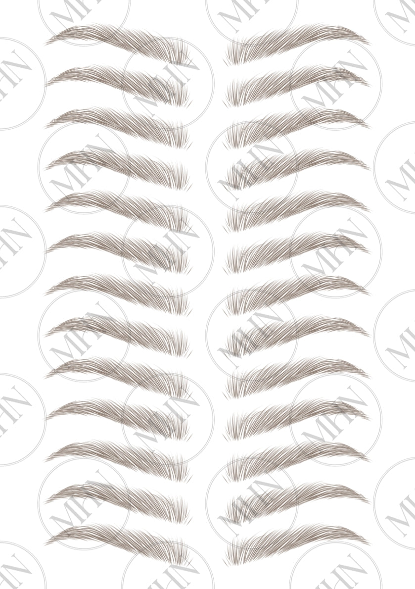 MyBrows 11
