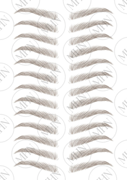 MyBrows 11