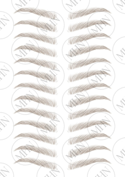 MyBrows 11 Delicate