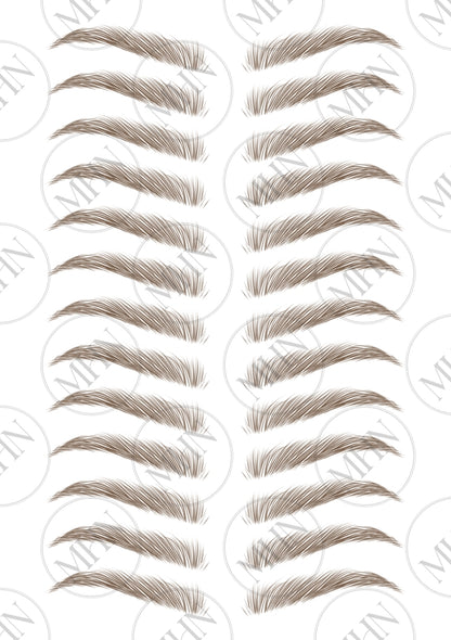 MyBrows 11