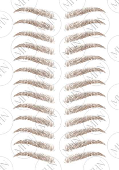 MyBrows 11