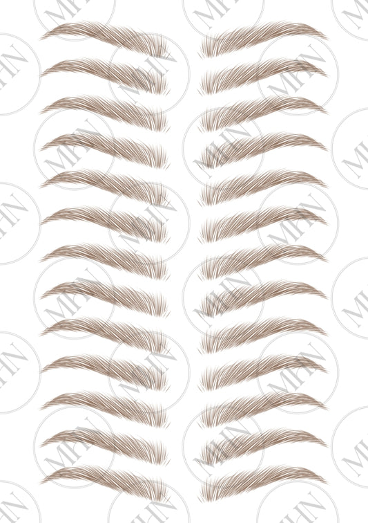 MyBrows 11