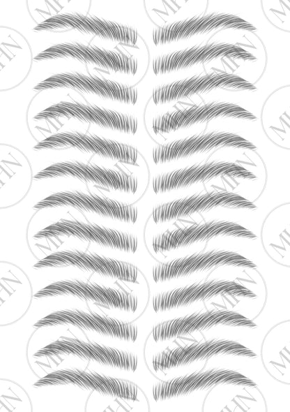 MyBrows 13
