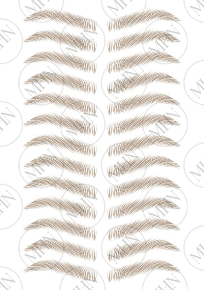 MyBrows 13